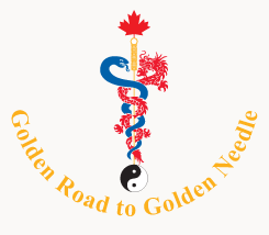 golden-road-needle